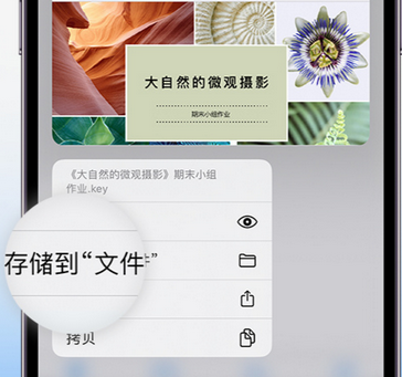 营山apple维修中心分享iPhone文件应用中存储和找到下载文件