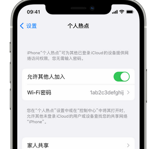 营山apple服务站点分享iPhone上个人热点丢失了怎么办 