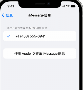 营山apple维修iPhone上无法正常发送iMessage信息 