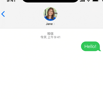 营山apple维修iPhone上无法正常发送iMessage信息