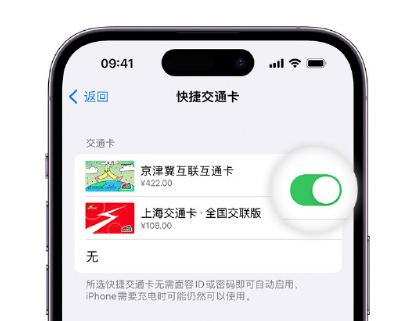 营山apple维修点分享iPhone上更换Apple Pay快捷交通卡手绘卡面 