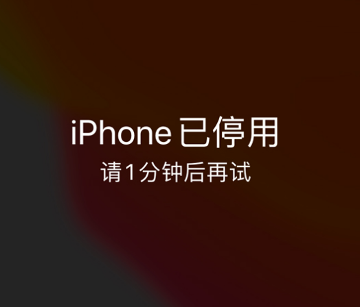 营山苹果手机维修分享:iPhone 显示“不可用”或“已停用”怎么办？还能保留数据吗？ 