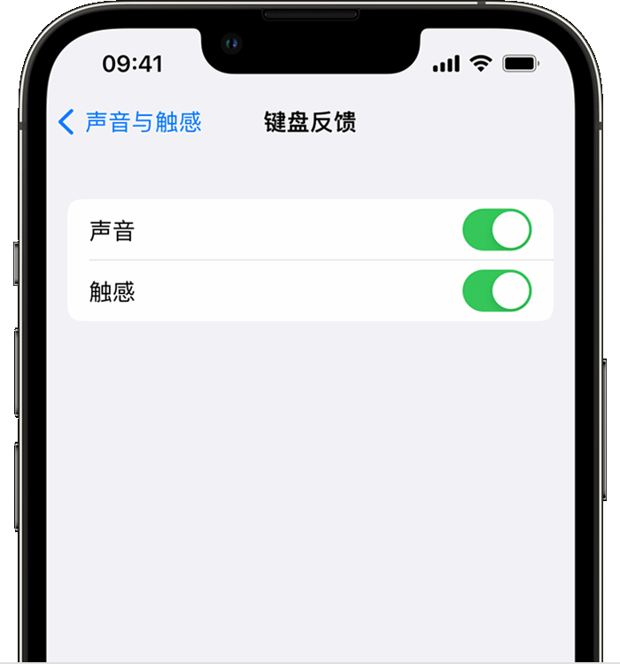 营山苹果14维修店分享如何在 iPhone 14 机型中使用触感键盘 