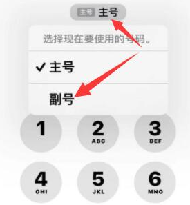 营山苹果14维修店分享iPhone 14 Pro Max使用副卡打电话的方法 