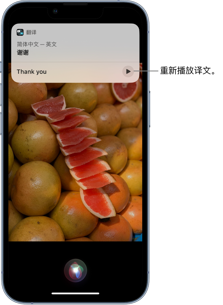 营山苹果14维修分享 iPhone 14 机型中使用 Siri：了解 Siri 能帮你做什么 