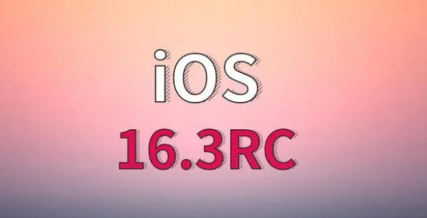 营山苹果手机维修分享iOS 16.3 RC版升级_iOS 16.3 RC版一键刷机教程 